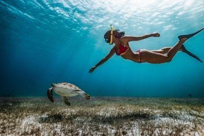 meilleurs-sites-de-plongee-au-costa-rica