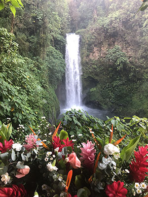 cascade-waterfall-garden-costa-rica