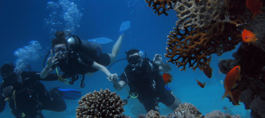 binôme baptême de plongée sous-marine au costa rica 